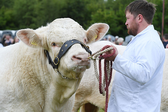 svp_pho_310525lesmahagow_074