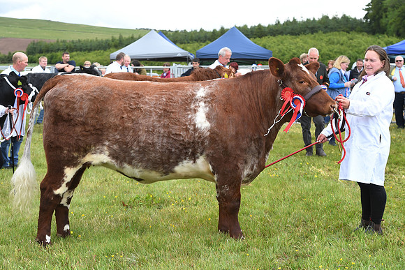 svp_pho_310525lesmahagow_040