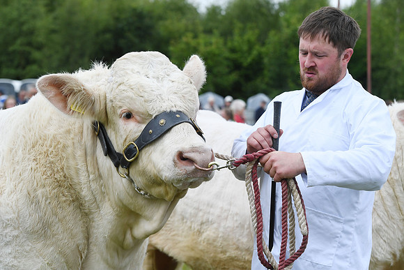 svp_pho_310525lesmahagow_075