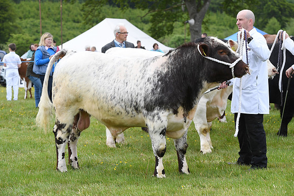 svp_pho_310525lesmahagow_050