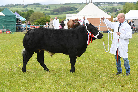 svp_pho_310525lesmahagow_027