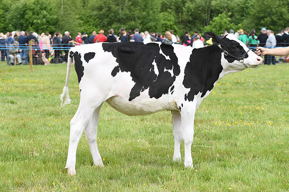 svp_pho_310525lesmahagow_063