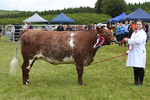 svp_pho_310525lesmahagow_007