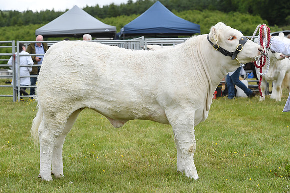 svp_pho_310525lesmahagow_030