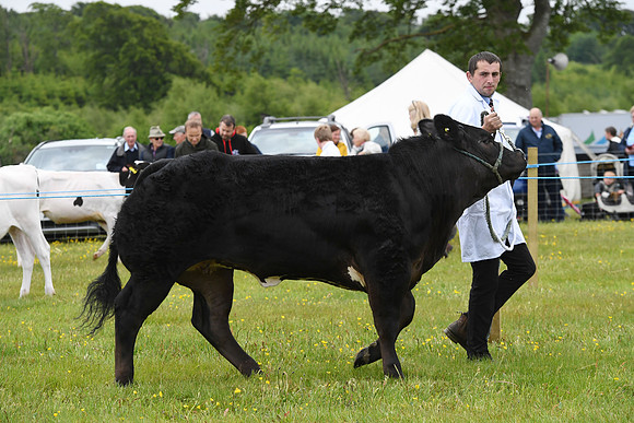 svp_pho_310525lesmahagow_052