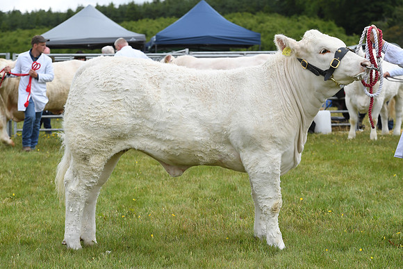 svp_pho_310525lesmahagow_083