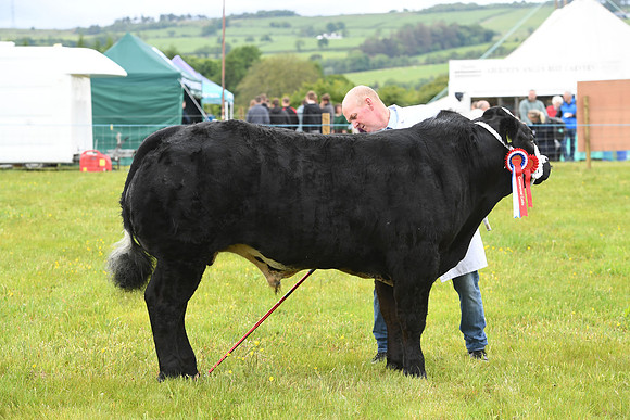 svp_pho_310525lesmahagow_065