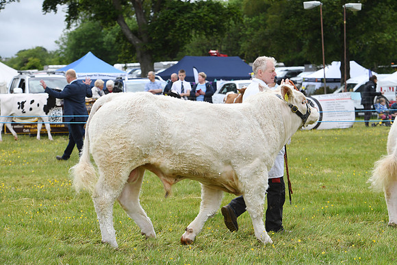 svp_pho_310525lesmahagow_077