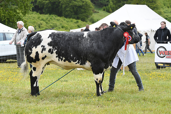 svp_pho_310525lesmahagow_094