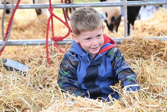 svp_pho_310525lesmahagow_085