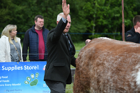 svp_pho_310525lesmahagow_106