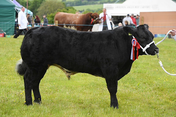 svp_pho_310525lesmahagow_026