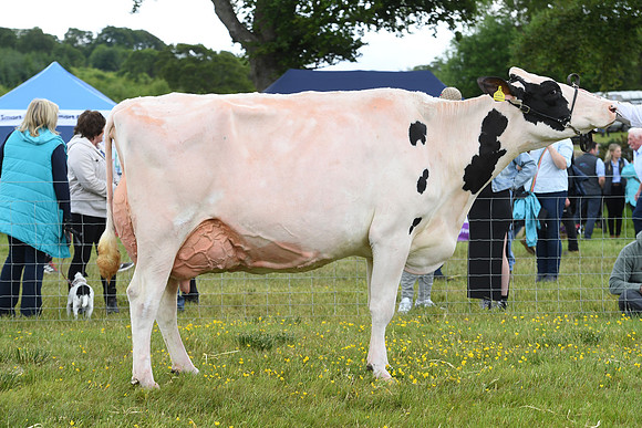 svp_pho_310525lesmahagow_034