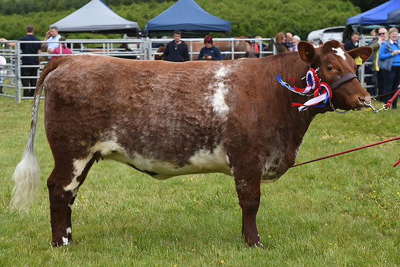 svp_pho_310525lesmahagow_042