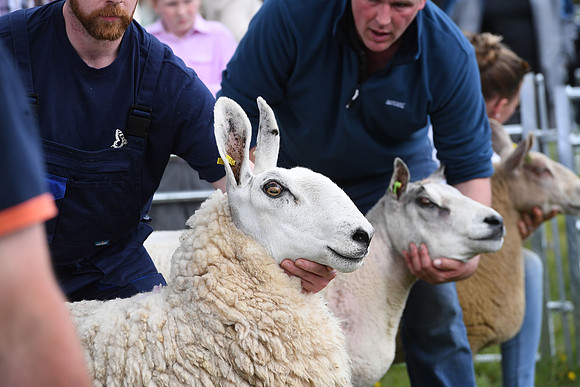 svp_pho_310525lesmahagow_127