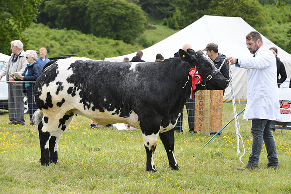 svp_pho_310525lesmahagow_031