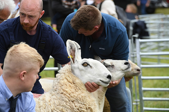 svp_pho_310525lesmahagow_123