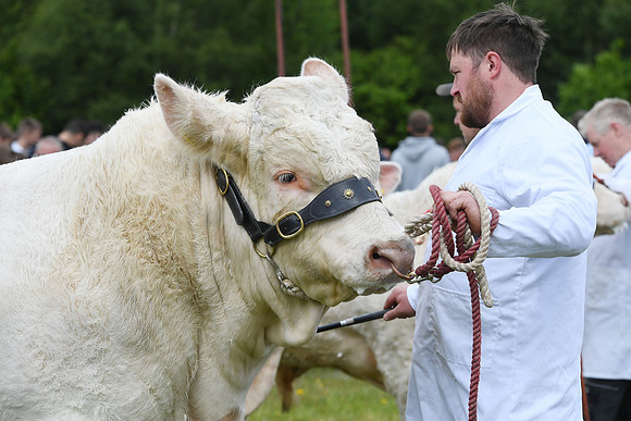 svp_pho_310525lesmahagow_073